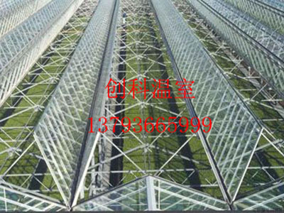 溫室大棚蔬菜無土栽培-創(chuàng)科溫室技術(shù)培訓(xùn) -春茬西葫蘆定植后抓